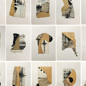 2019-De la serie catástrofes de la A a la Z-Sismis de la A a la z, Crayón, tinta, transfer y collage sobre papel, 21 x 15 cm c-uno 63 x 135